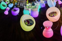 DeeZunker-LittlePlanet-IGI-3-e1590464031599